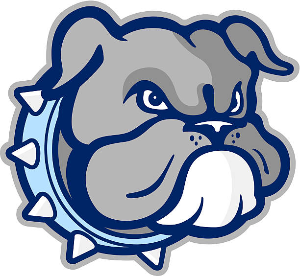 Bulldog Mascot illustration of an annoyed looking bulldog head. bulldog stock illustrations