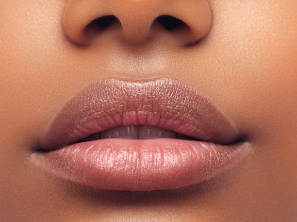 part of woman's face. woman's lips and nose. soft skin - make up cosmetics beauty lipstick imagens e fotografias de stock