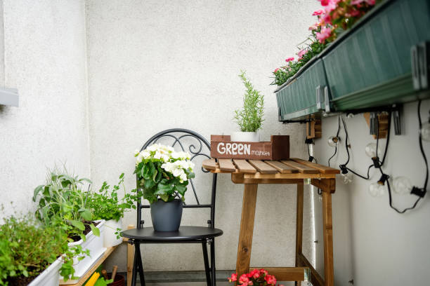 istock Plants and flowers on cosy balcony 1333090395