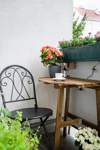 Cosy green balcony with greens and flowers on summer time. Home comfort zone. Hobby gardening