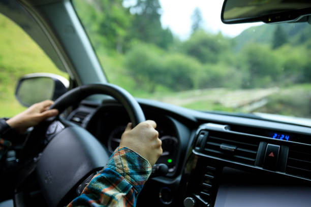 istock Driving off road car in the nature 1333091168