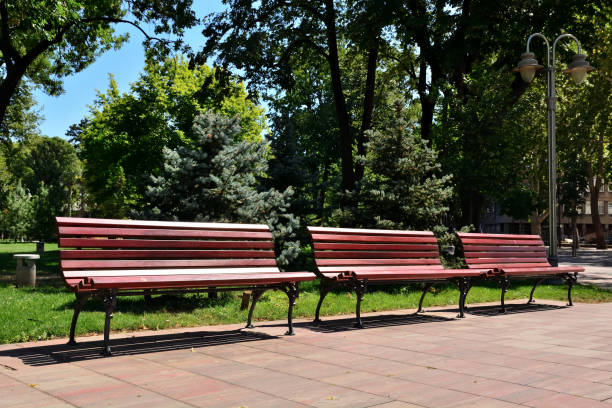 istock Three wooden benches without people in the park 1333092628