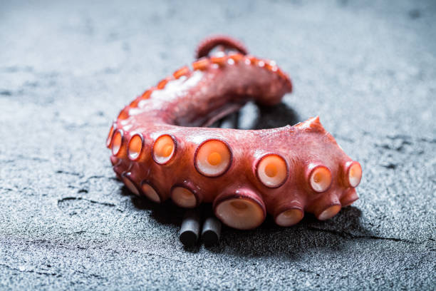 istock Octopus wrapped in a chopstick. Cooked purple octopus 1333093701