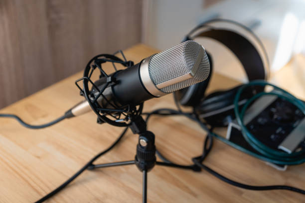 istock Microphone - professional condenser microphone in a home studio for podcast, music production 1333093725