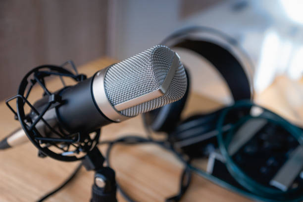 istock Microphone - professional condenser microphone in a home studio for podcast, music production 1333093766