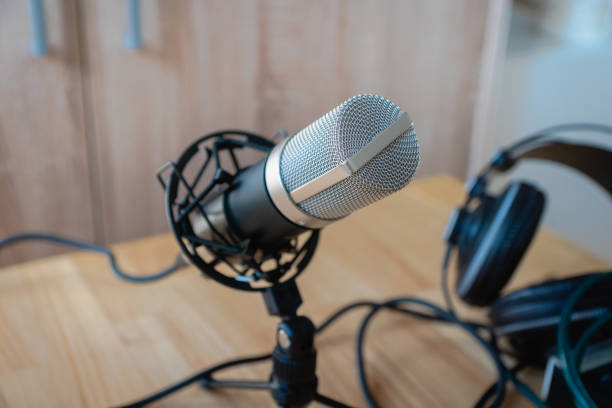 istock Microphone - professional condenser microphone in a home studio for podcast, music production 1333093795