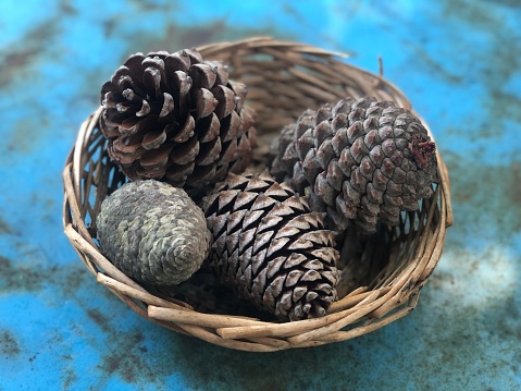 Pine cone and decoration