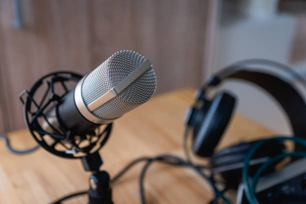 istock Microphone - professional condenser microphone in a home studio for podcast, music production 1333095212