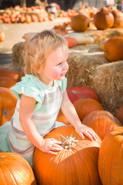 istock Adorable Baby Girl Having Fun in a Rustic Ranch Setting at the Pumpkin Patch. 1333096396