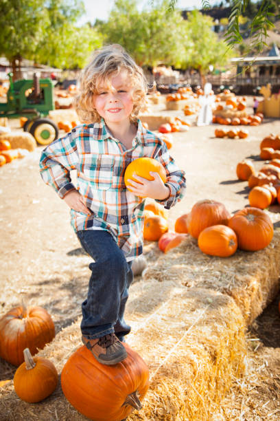 istock Little Boy Standing in a Rustic Ranch Setting at the Pumpkin Patch. 1333097023