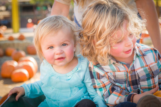 sweet little boy brinca com sua irmãzinha em um ambiente rústico no pumpkin patch. - wheelbarrow playing sibling rural scene - fotografias e filmes do acervo