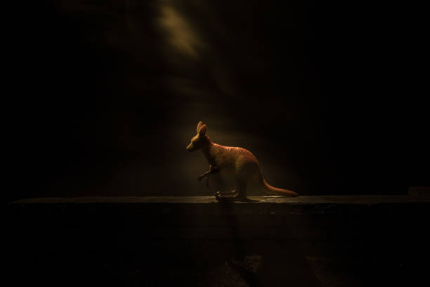 istock Kangaroo miniature standing at foggy night. Creative table decoration with colorful backlight with fog. 1333097165