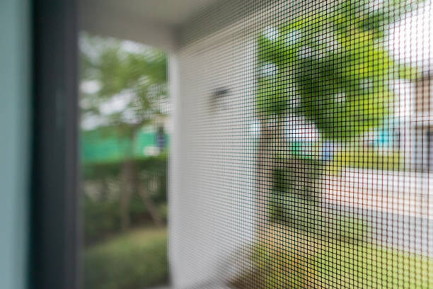 mosquito net wire screen on house window protection against insect - mosquito mosquito netting protection insect imagens e fotografias de stock