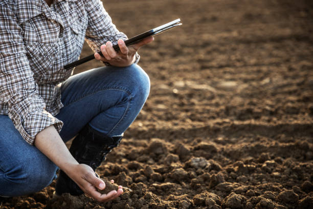 mani dell'agricoltore che fanno il controllo di qualità con il tablet dopo aver fecondato il raccolto durante la pandemia di covid-19. - plowed field dirt sowing field foto e immagini stock