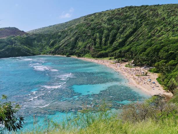 bahía de hanauma en la isla de oahu, hawái - hanauma bay hawaii islands oahu bay fotografías e imágenes de stock