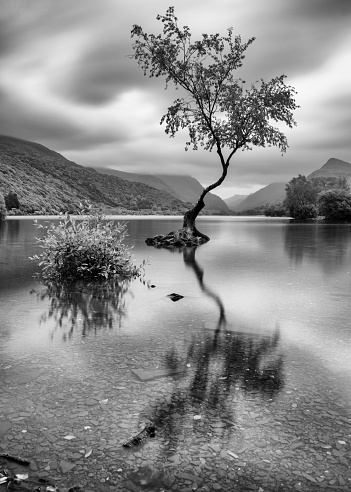 I came across this lone tree whilst on my travels around North Wales. Fantastic find and great spot to shoot but unfortunately the weather wasn't the best so didn't manage to get what I was aiming for with a long exposure