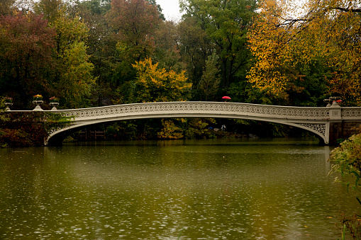 Serenity in the city: a peaceful bridge arches over calm waters in New York's Central Park, surrounded by lush greenery