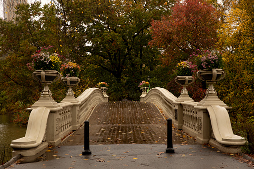 Bow Bridge during autumn in Central Park, New York City.