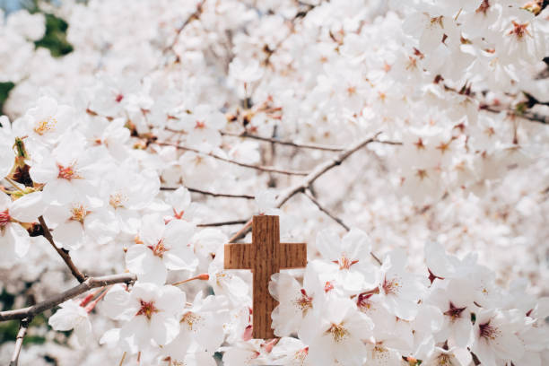 istock Cherry blossoms and Wooden Cross 1333117143