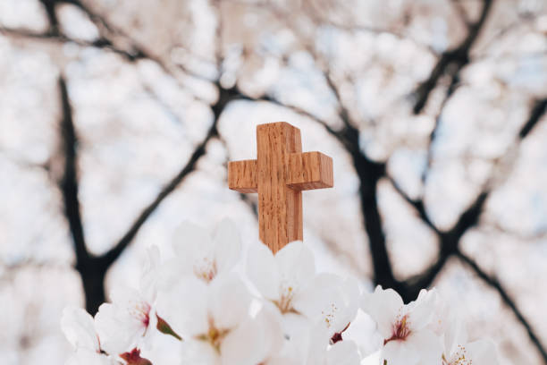 istock Cherry blossoms and Wooden Cross 1333118592