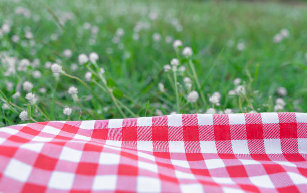 istock Red checkered tablecloth texture with on green grass at the garden 1333120474