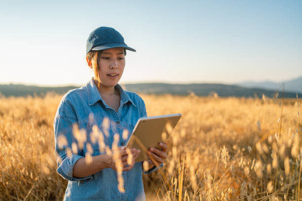 istock Young female farmer holding digital tablet in farm field 1333124130