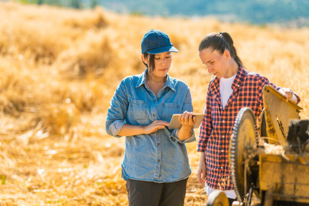 istock Two multi-ethnic female farmers using digital tablet in farm field 1333125752
