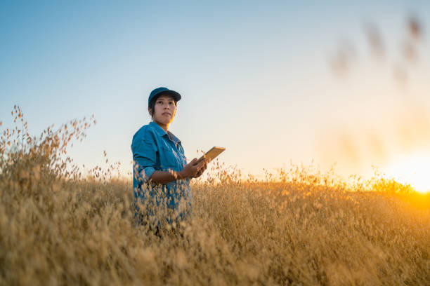 young female farmer holding digital tablet in farm field - environmental portrait imagens e fotografias de stock