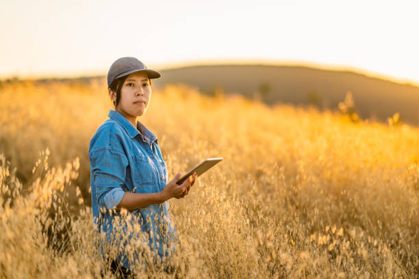 istock Young female farmer holding digital tablet in farm field 1333126621
