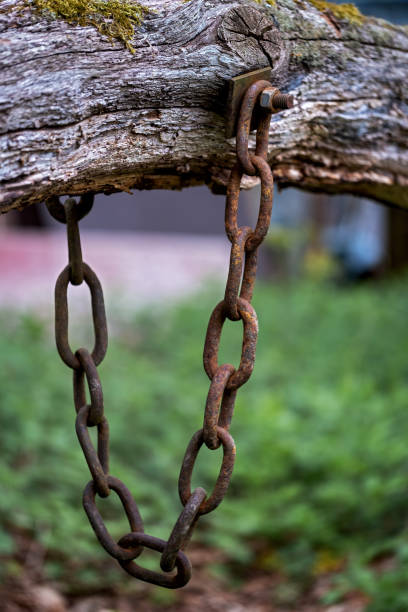 istock old steel chain on a wooden beam 1333127489