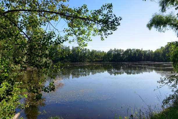 istock Pond on the Loire river bank 1333130487
