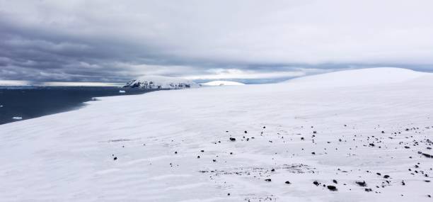 istock Brown Bluff on the Antarctic continent in December. 1333133588