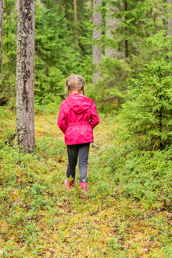 A little girl walks forward through the coniferous forest with her back turned.