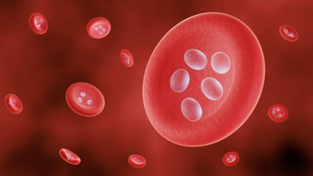istock Malaria, plasmodium blood infection 1333139328