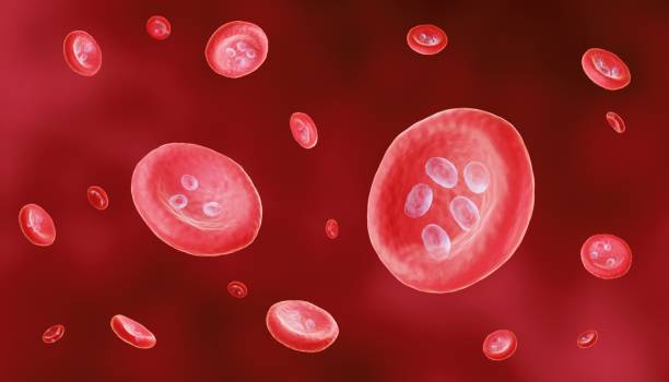 istock Malaria, plasmodium blood infection 1333139349