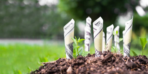 istock Bank note 100 dollars and small tree on soil with green blur bakground. 1333140020