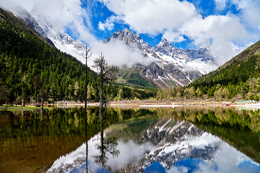 View siguniang mountain from bipenggou valley at sunny day, Sichuan Province, China.