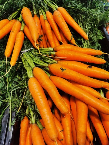 Appetizing whole carrots and its tops  on a market stall