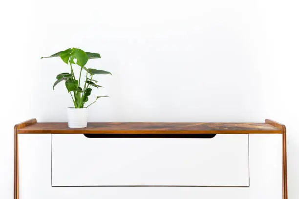 Photo of Monstera deliciosa or swiss cheese plant in a white ceramic pot on a retro sideboard against white wall. Trendy exotic house plants as modern home interior decor.