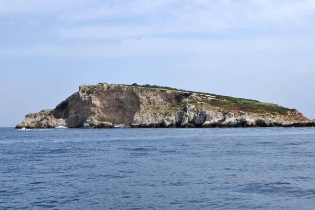 istock Tremiti Islands - Capraia Island by boat 1333144302