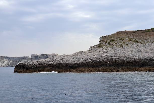 istock Tremiti Islands - Diamond Tip Reef from the boat 1333144397