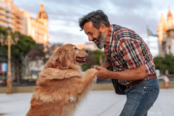 istock Mature man hugging with his golden retriever dog 1333145384