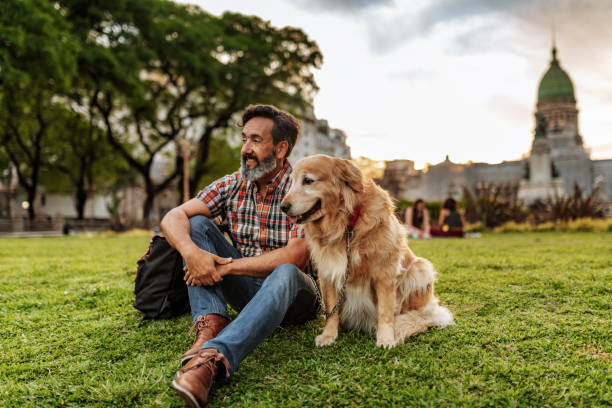 Mature man with golden retriever dog walking in the park in sunset Mature Latino man with beard and stylish casual clothing in springtime day in Buenos Aires, Argentina. dog disruptagingcollection stock pictures, royalty-free photos & images