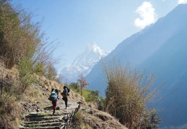 Backpacker among natural landscape of green mountain ridge