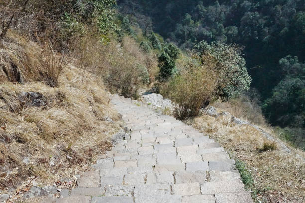 Stone pathway among natural landscape of hill ridge