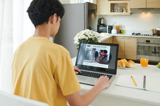 istock Teenage Boy Studying Online 1333149551