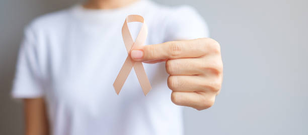woman hand holding Peach Ribbon for September Uterine Cancer Awareness month. Healthcare and World cancer day concept woman hand holding Peach Ribbon for September Uterine Cancer Awareness month. Healthcare and World cancer day concept uterus photos stock pictures, royalty-free photos & images