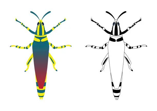 Vector illustration of Grasshopper or Locust Vector Illustration Fill and Outline Isolated on White Background. Insects Bugs Worms Pest and Flies. Entomology or Pest Control Business graphic elements.