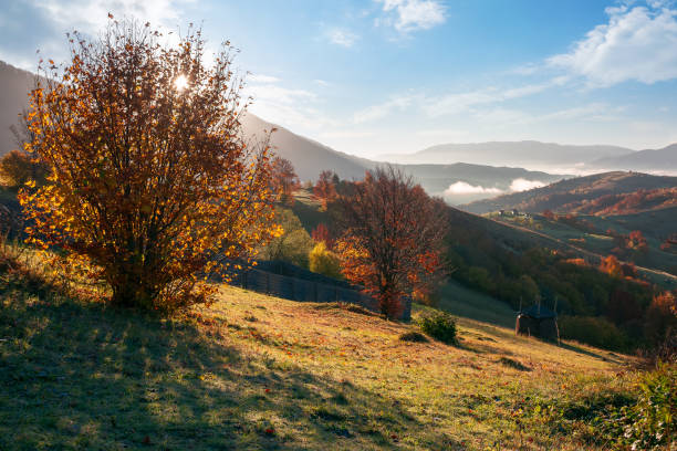 istock mountainous countryside in morning light 1333152355
