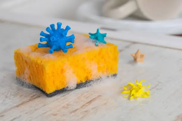 Viruses and germs on the dishwashing sponge. Concept change the sponge more often